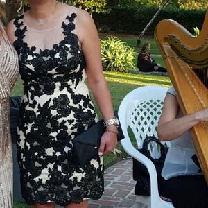 Decode Elegant Black Lace Overlay Dress